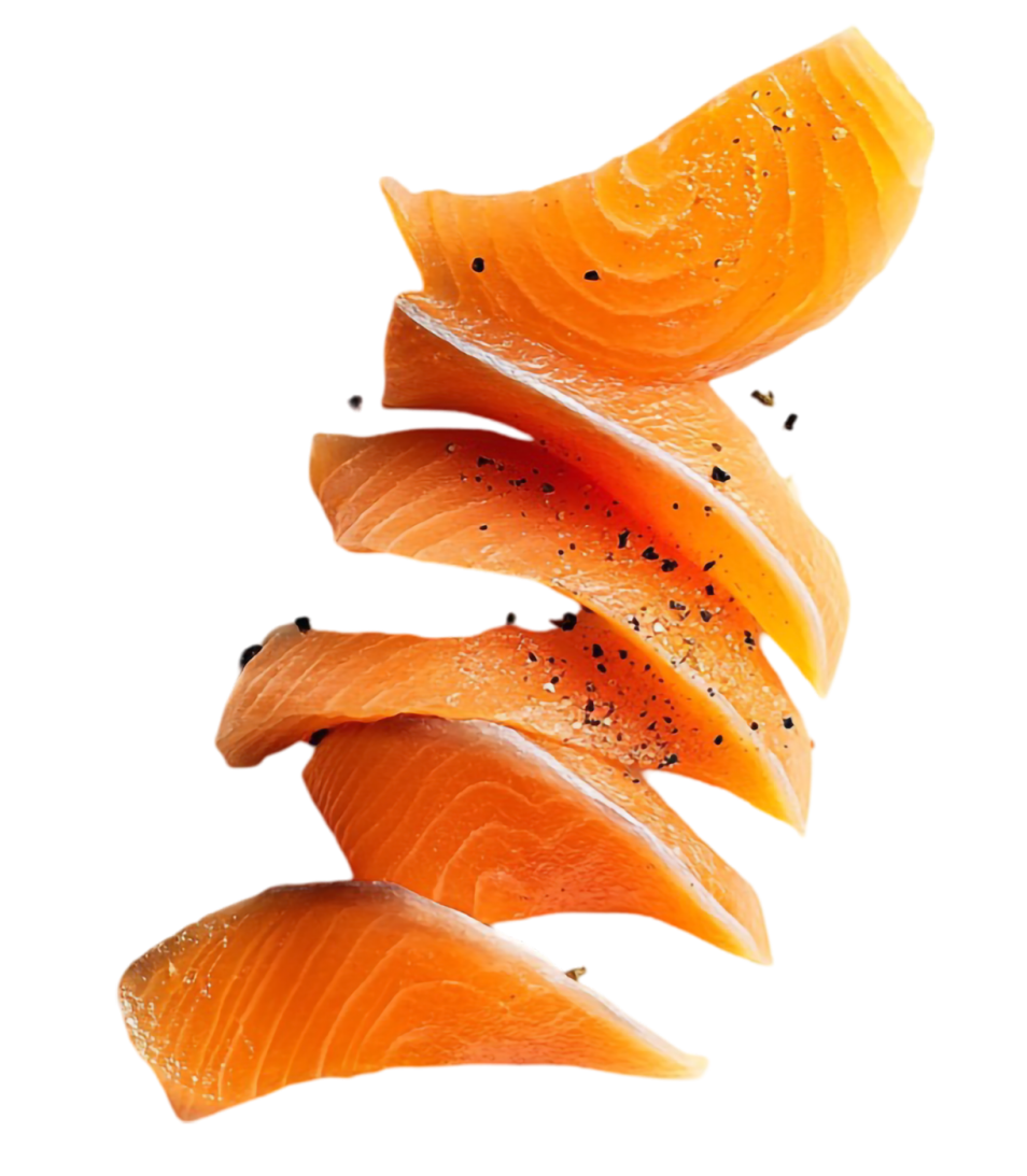 salmón